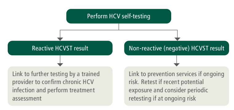 HCVST檢測流程