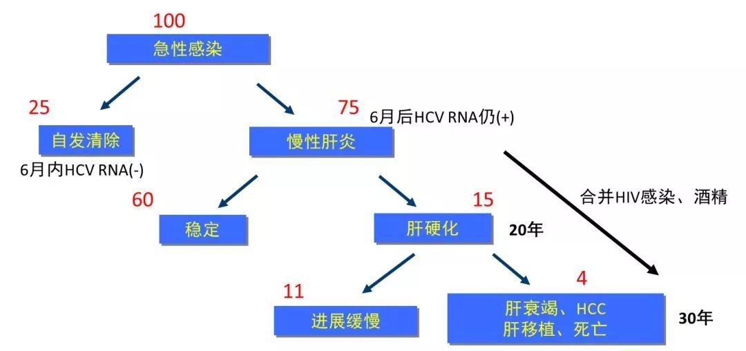 丙肝檢測的弱陽性究竟是不是感染了丙肝？