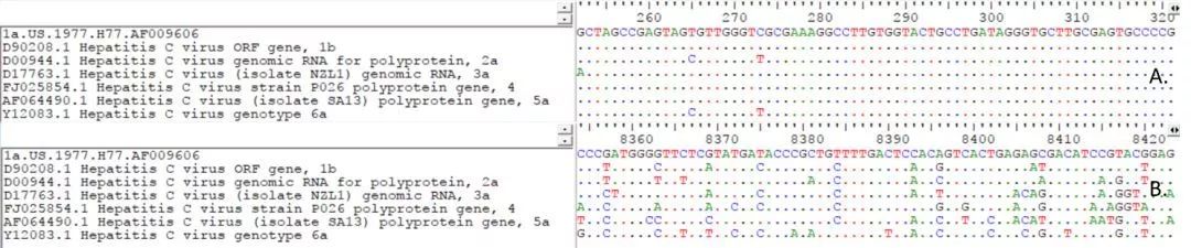 A.5’端非編碼區(qū)序列；B.NS5序列